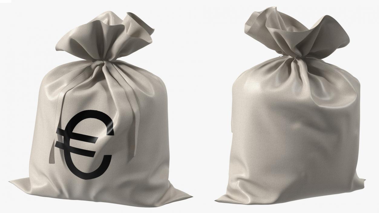 Money Bag with Euro Sign 3D model