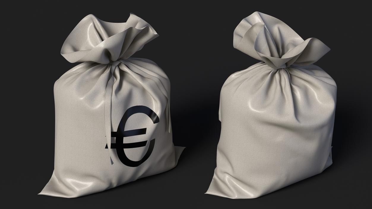 Money Bag with Euro Sign 3D model