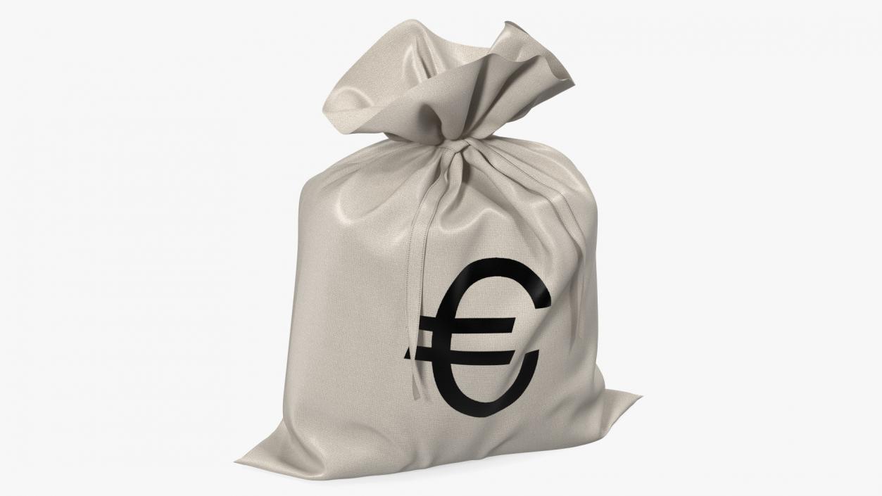 Money Bag with Euro Sign 3D model