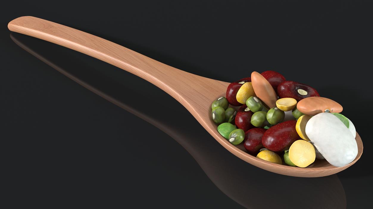 Wooden Spoons with Seeds Collection 4 3D