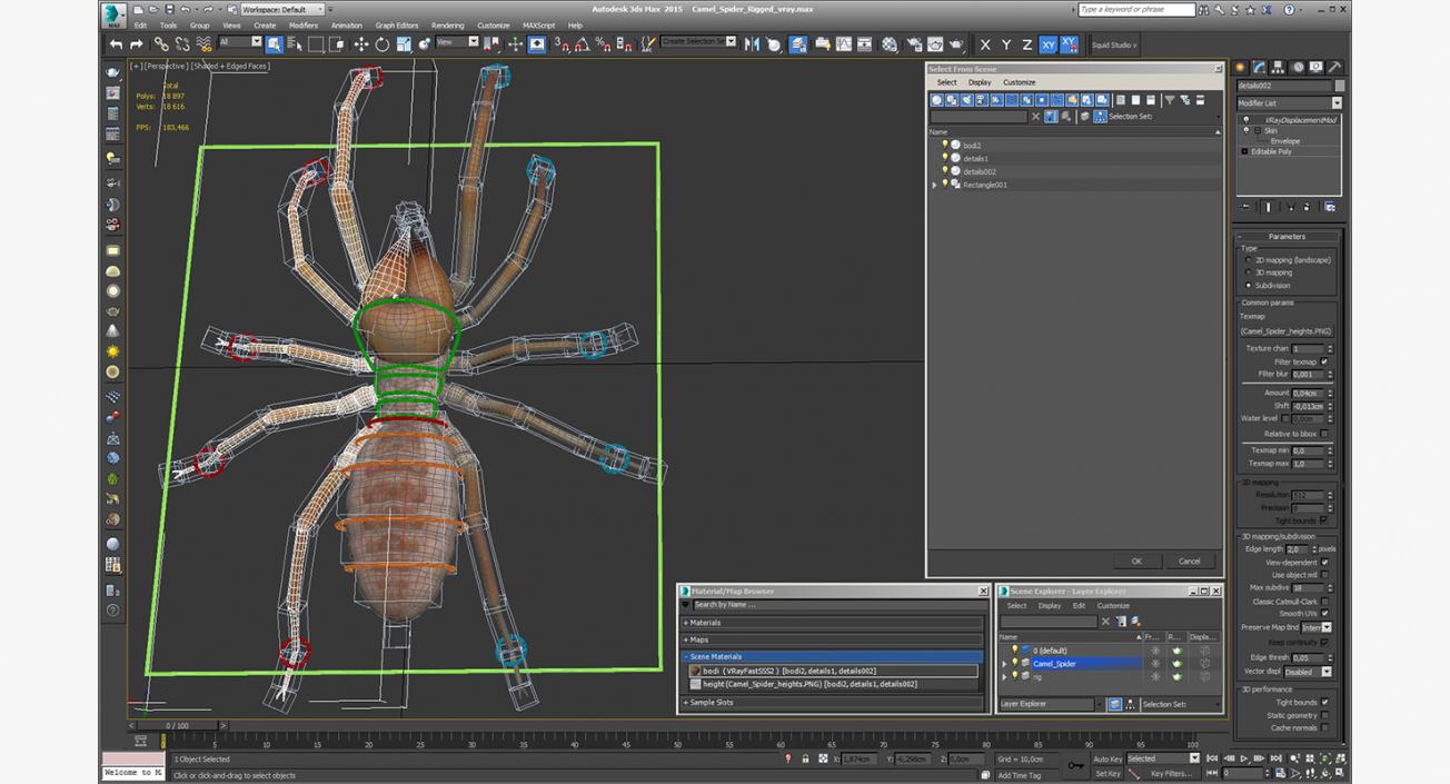 Camel Spider Rigged 3D model