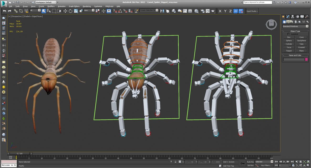 Camel Spider Rigged 3D model