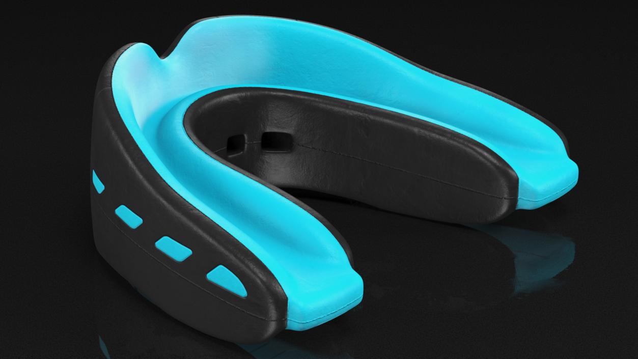 Double Mouthguard with Case 3D