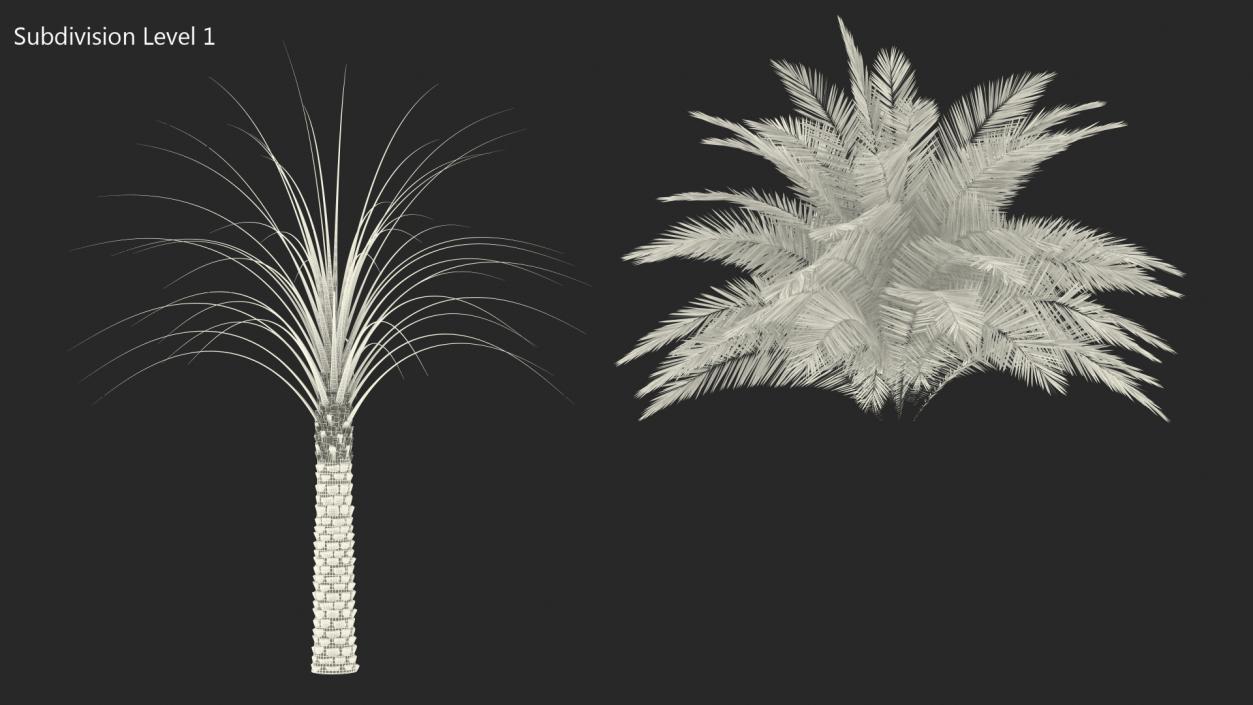 3D Silver Date Palm