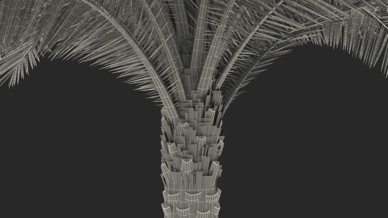 3D Silver Date Palm