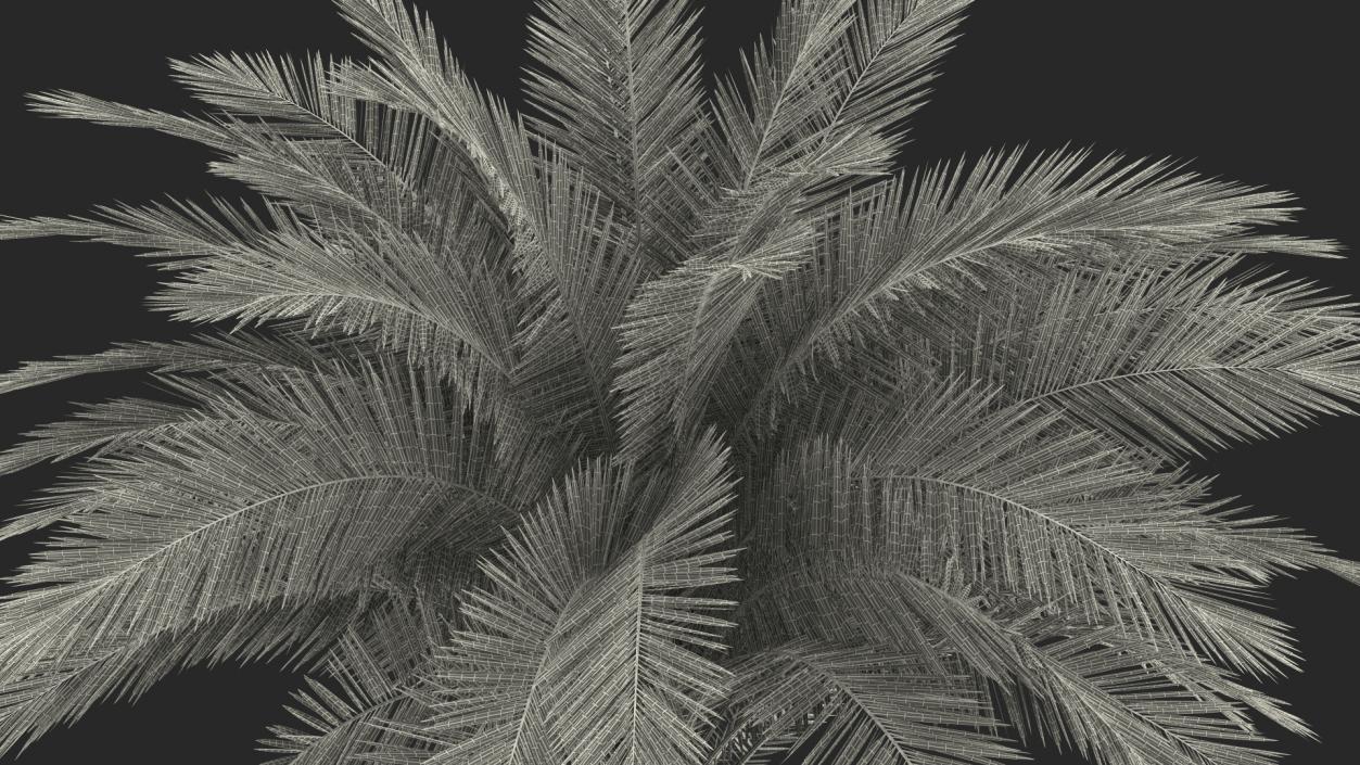 3D Silver Date Palm