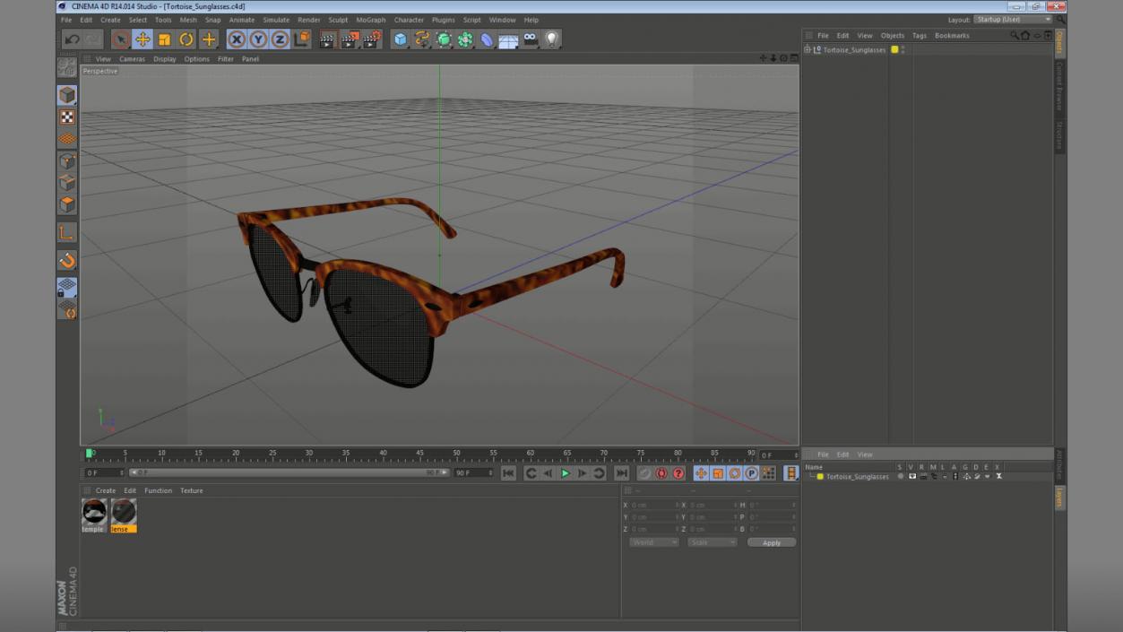 Tortoise Sunglasses 3D model