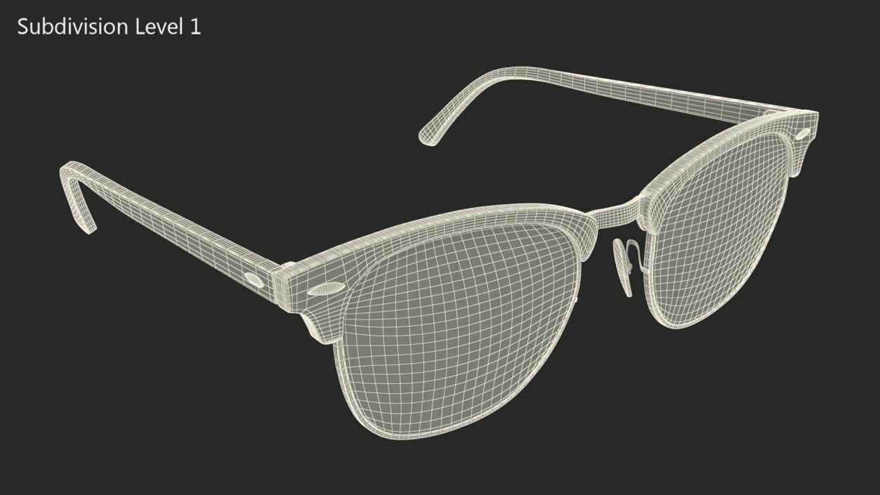 Tortoise Sunglasses 3D model