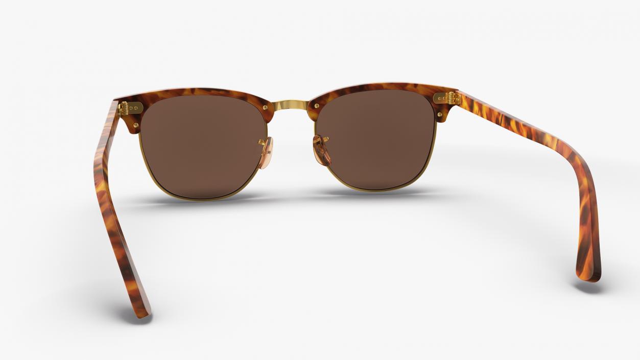 Tortoise Sunglasses 3D model