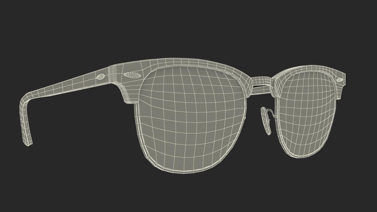 Tortoise Sunglasses 3D model