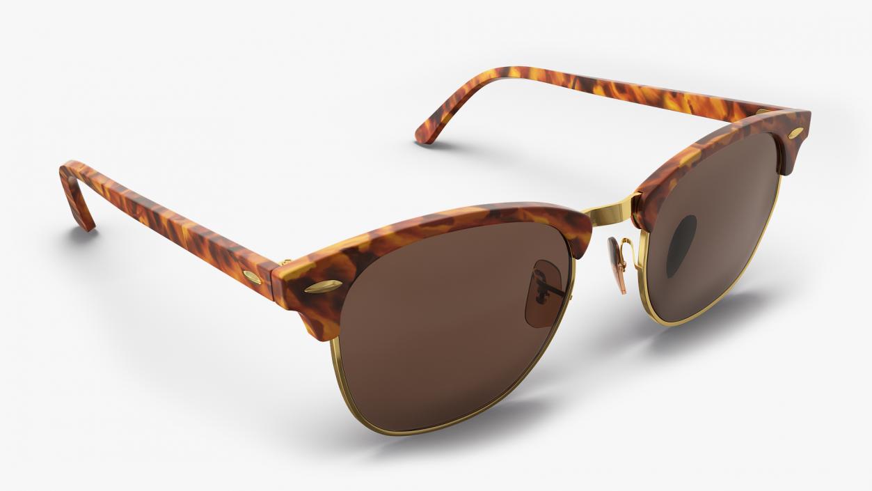 Tortoise Sunglasses 3D model