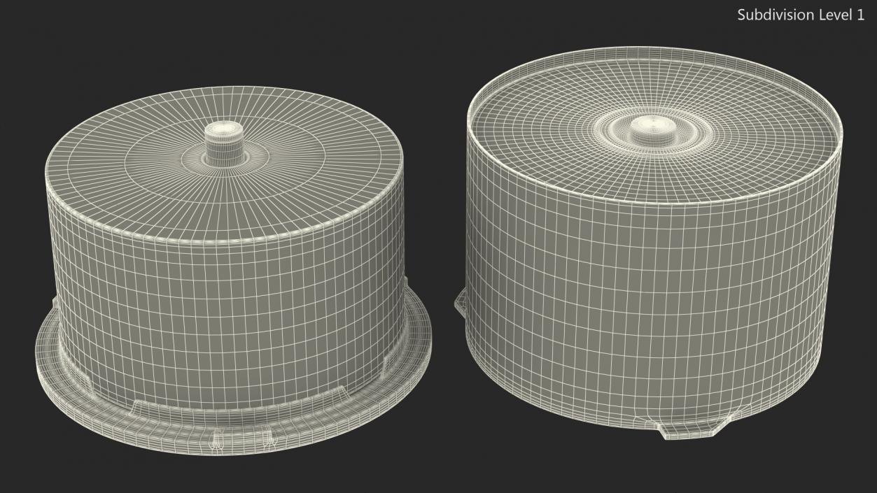 3D Plastic Spindle Cake Box with 50 Discs model