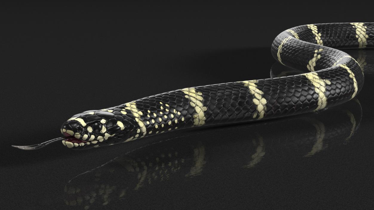 Eastern Kingsnake 3D