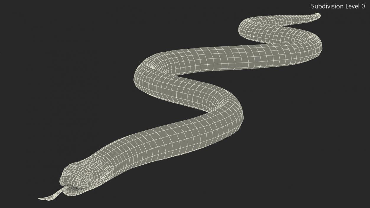 Eastern Kingsnake 3D