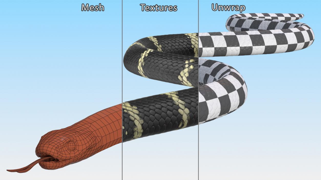 Eastern Kingsnake 3D