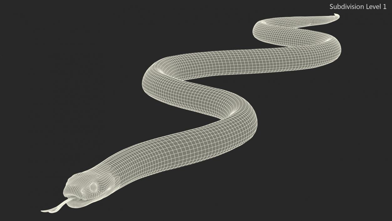 Eastern Kingsnake 3D