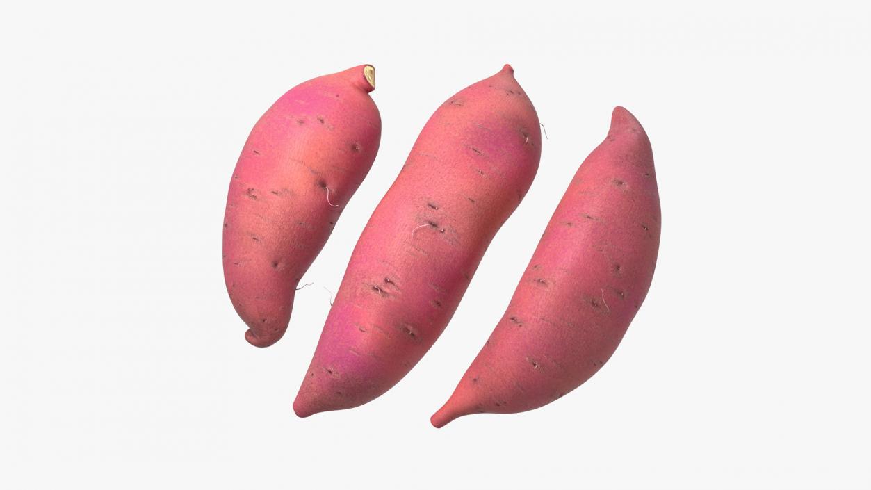 3D Sweet Potatoes Red model