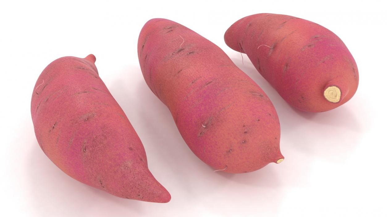 3D Sweet Potatoes Red model