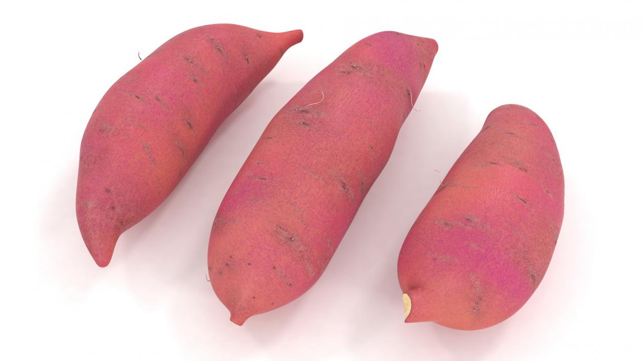 3D Sweet Potatoes Red model