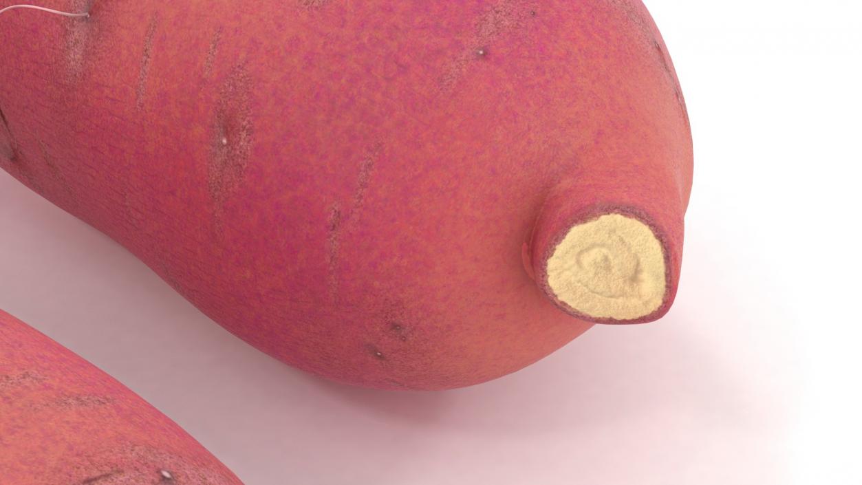 3D Sweet Potatoes Red model