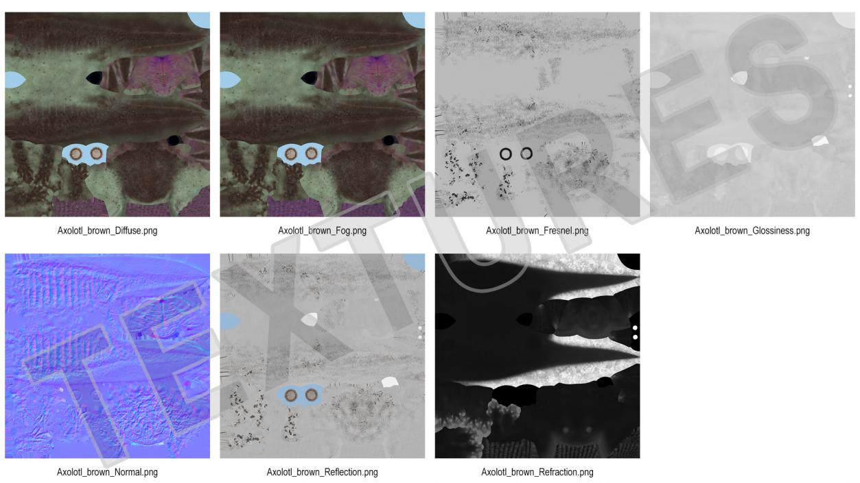 3D Mexican Brown Axolotl Rigged model