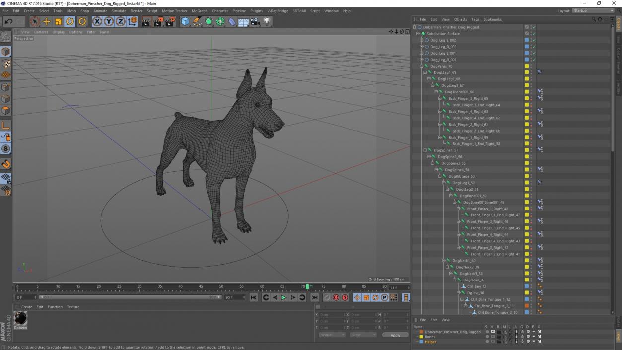 Doberman Pinscher Dog Rigged for Cinema 4D 2 3D model