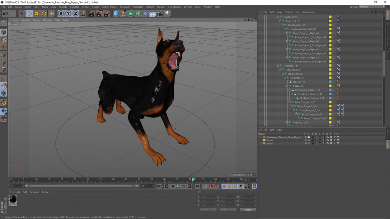 Doberman Pinscher Dog Rigged for Cinema 4D 2 3D model