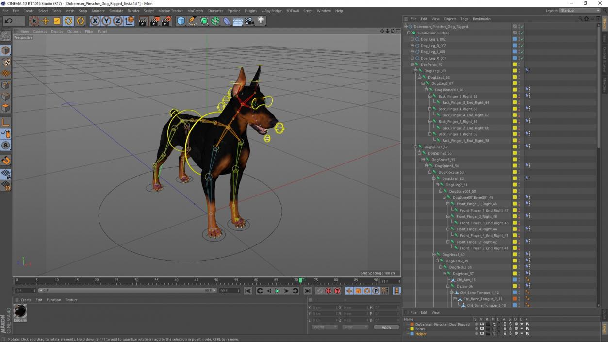 Doberman Pinscher Dog Rigged for Cinema 4D 2 3D model