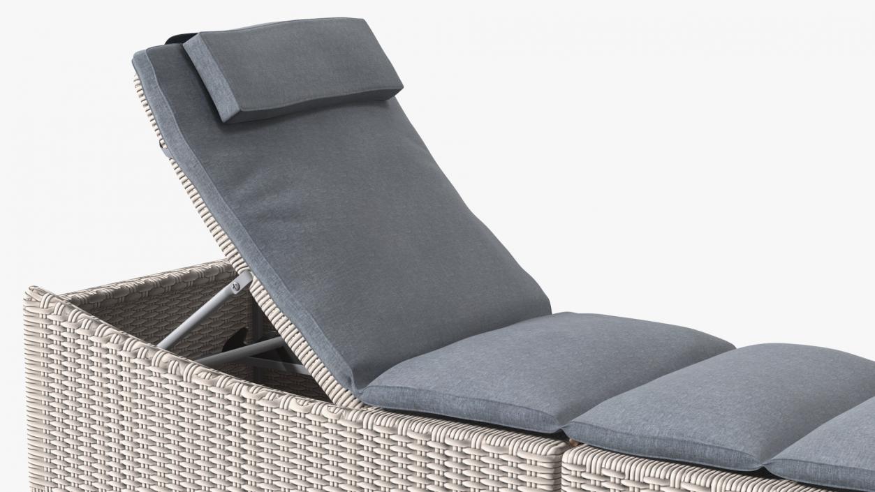 3D Wicker Lounge Chair Folding Grey Beige model