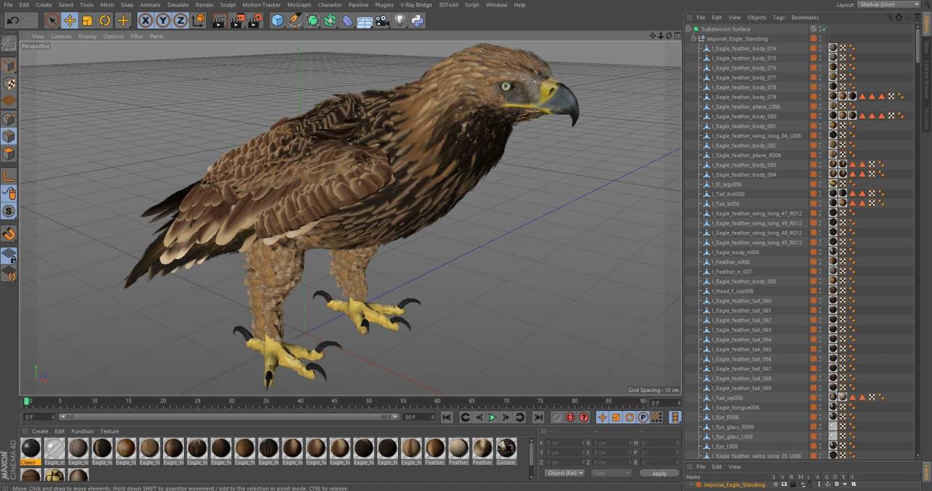 3D Imperial Eagle Standing model