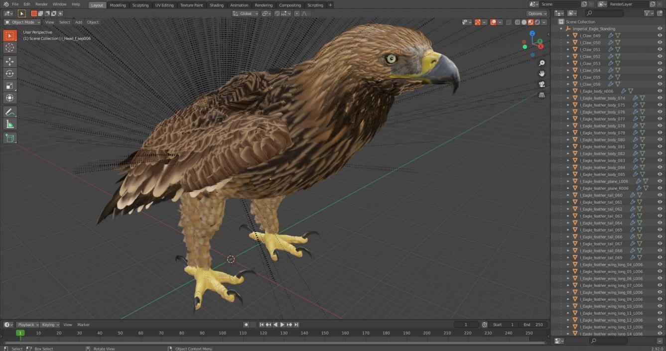 3D Imperial Eagle Standing model