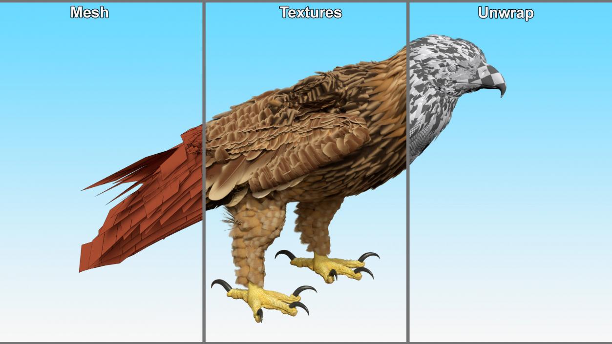 3D Imperial Eagle Standing model