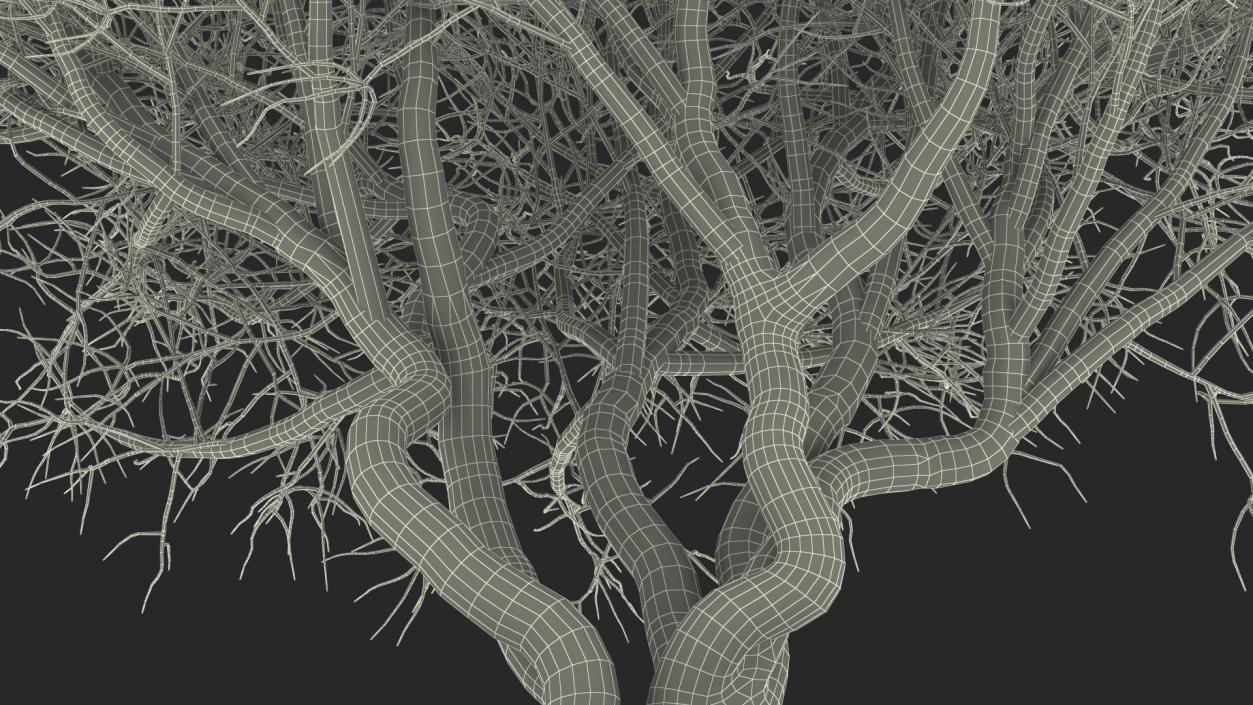 Rhododendron Bark Tree 3D