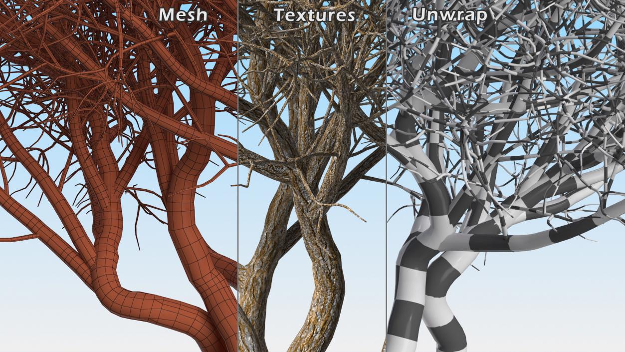 Rhododendron Bark Tree 3D