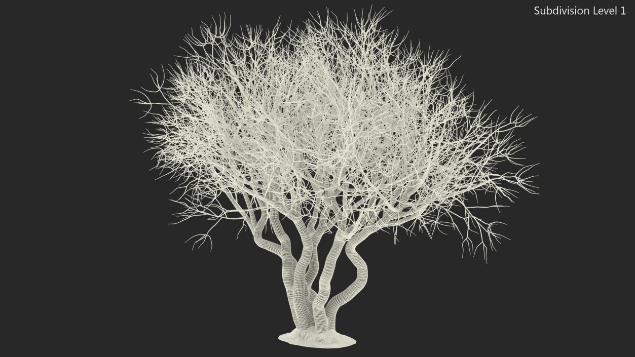 Rhododendron Bark Tree 3D