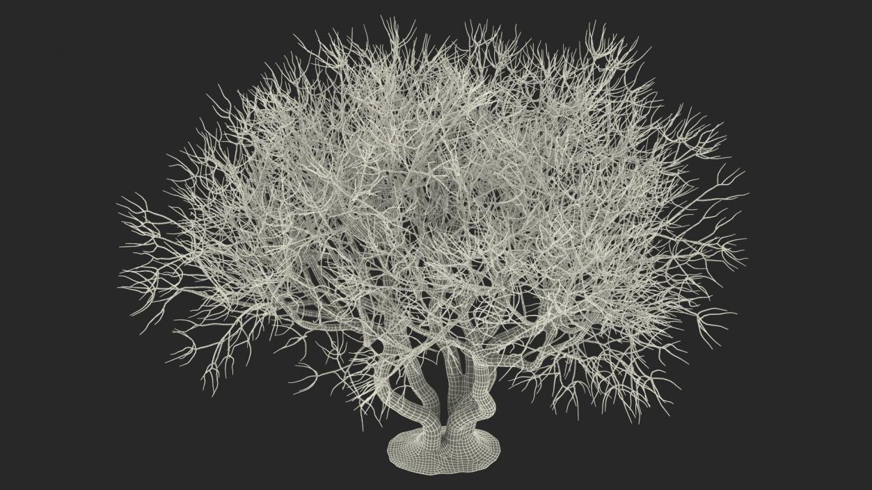 Rhododendron Bark Tree 3D