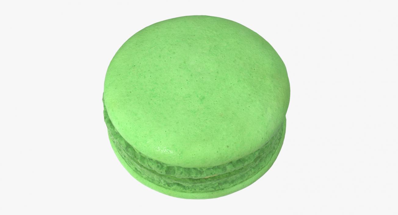 Classic French Macaron 3D