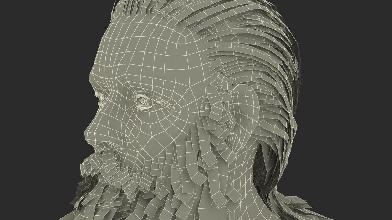 3D Elderly Man Head 2 model