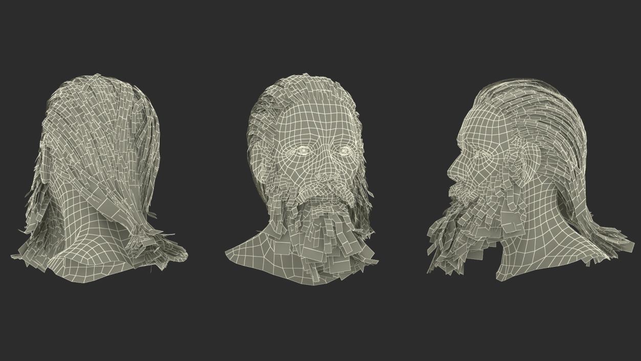 3D Elderly Man Head 2 model