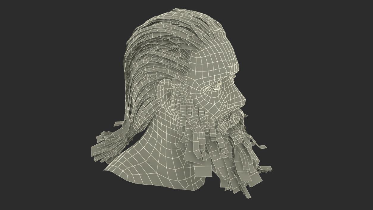 3D Elderly Man Head 2 model