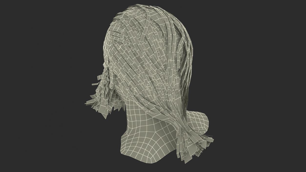 3D Elderly Man Head 2 model