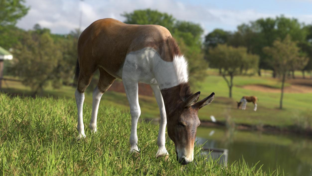 3D model Eating Mule Fur