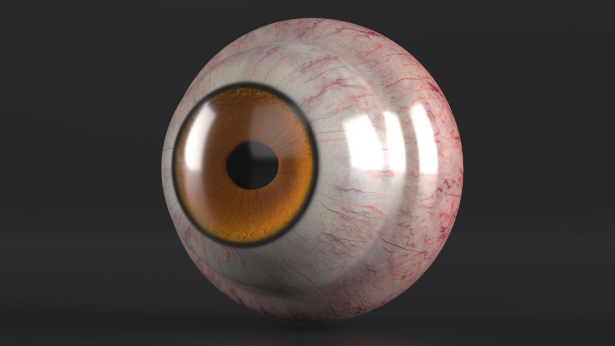 3D Realistic Tarsier Eye