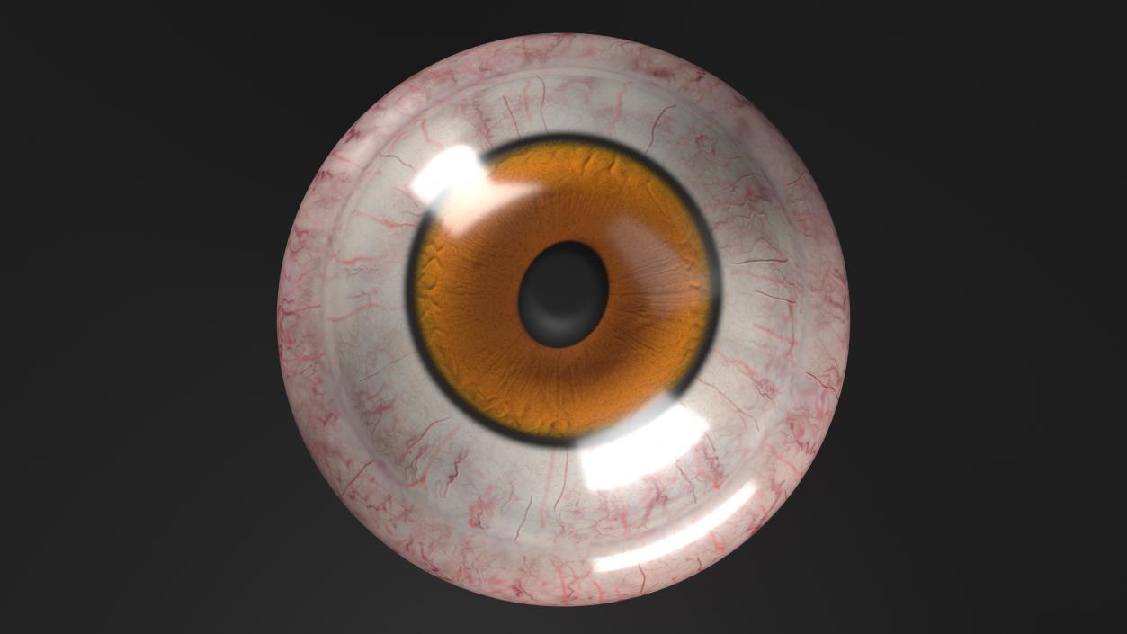 3D Realistic Tarsier Eye