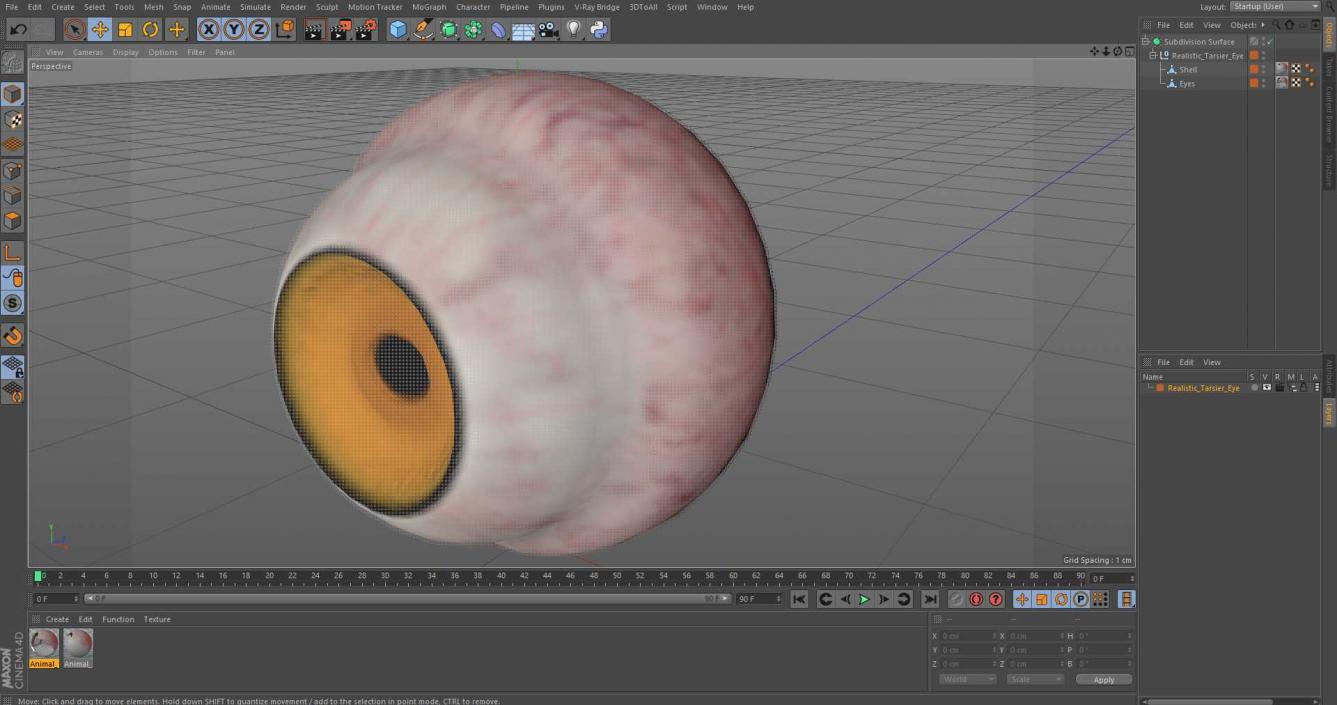 3D Realistic Tarsier Eye