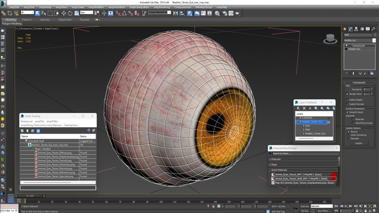 3D Realistic Tarsier Eye