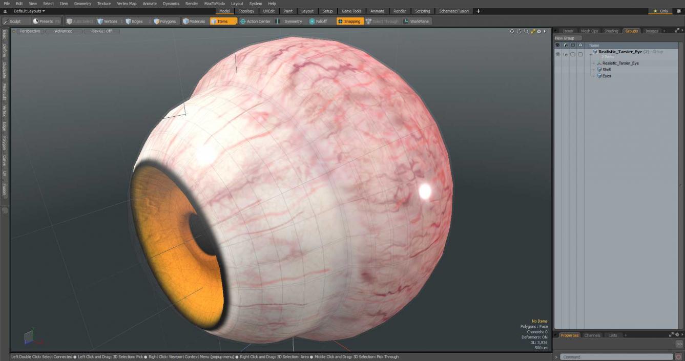 3D Realistic Tarsier Eye