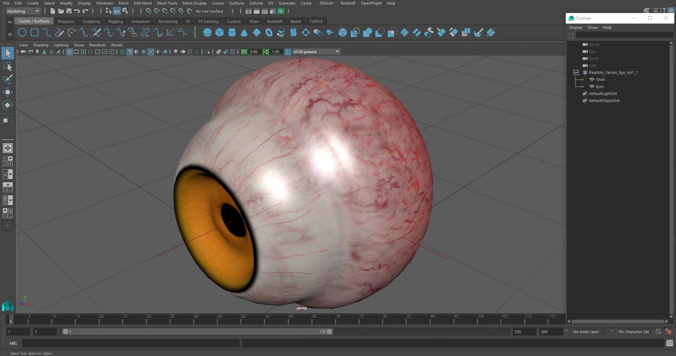 3D Realistic Tarsier Eye