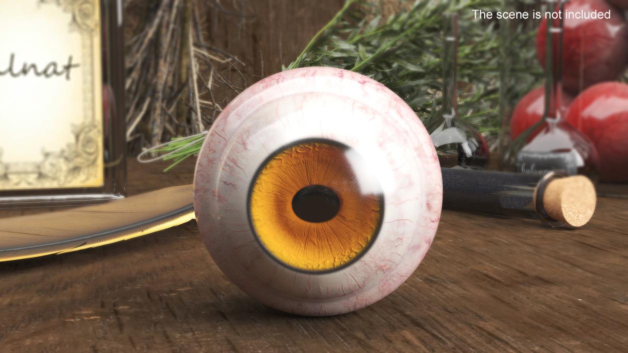 3D Realistic Tarsier Eye