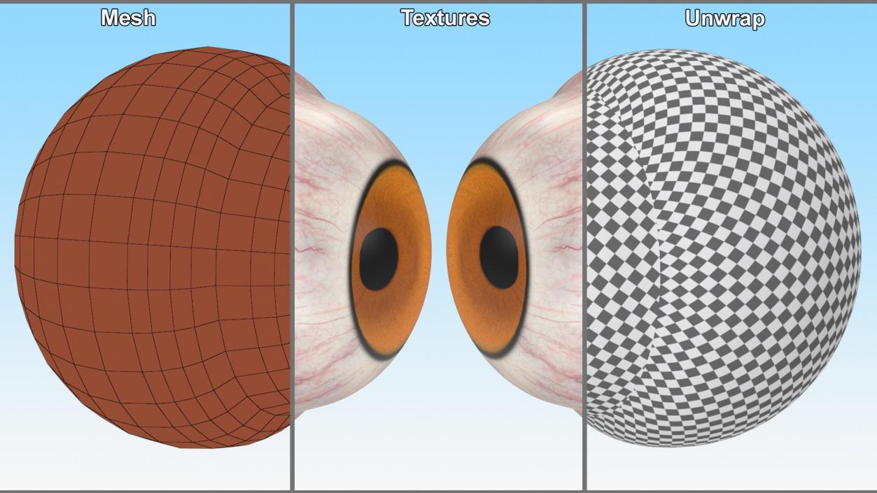 3D Realistic Tarsier Eye